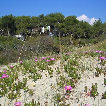 Acacia Sul Mare 아파트 *