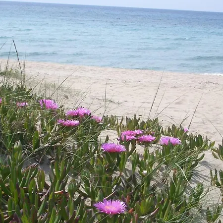 Acacia Sul Mare 갈리폴리