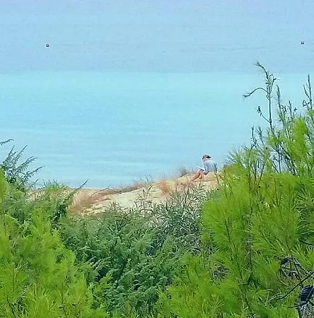 아파트 Acacia Sul Mare