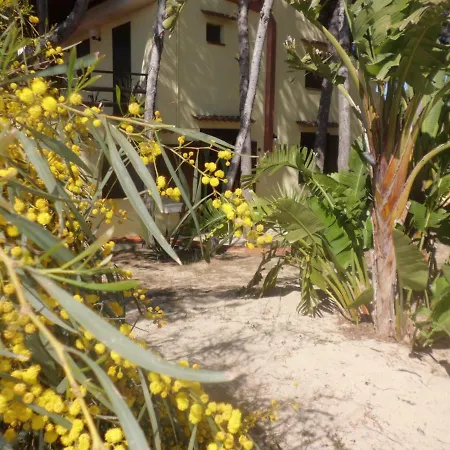 Acacia Sul Mare *