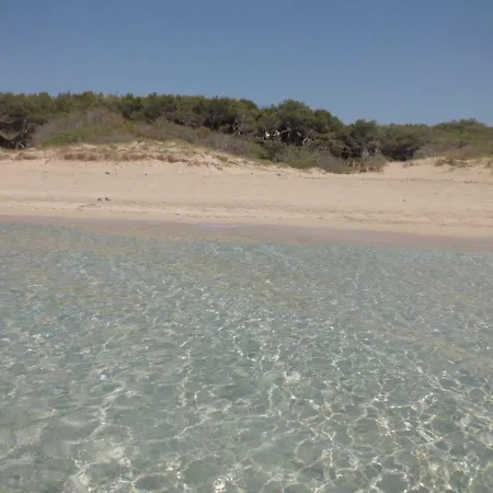 Acacia Sul Mare
